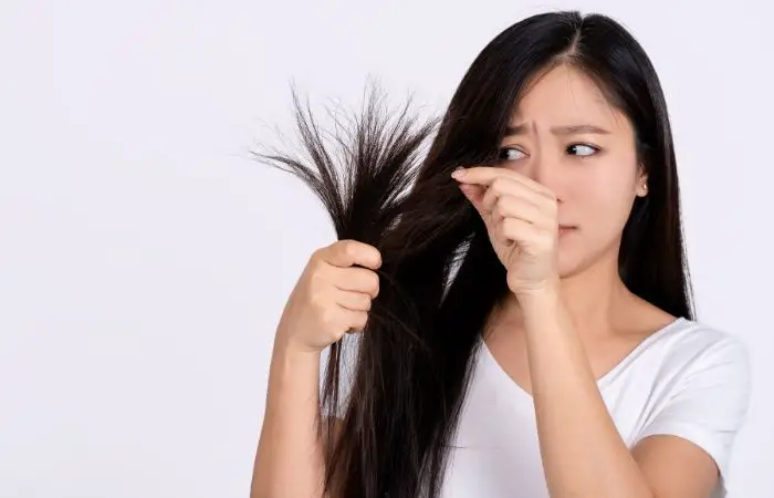 What Do Split Ends Look Like? [Help Is Here!]